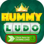 Rummy ludo apk
